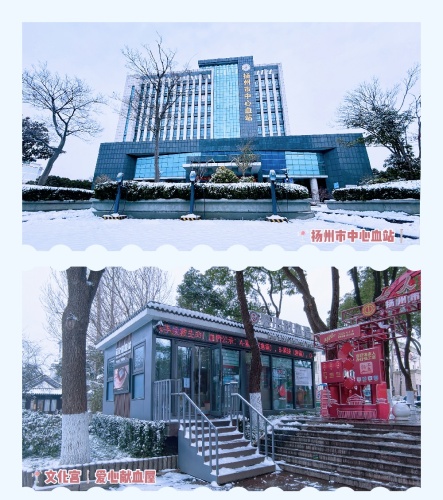 【图片】雪很美,这里更美! (1)